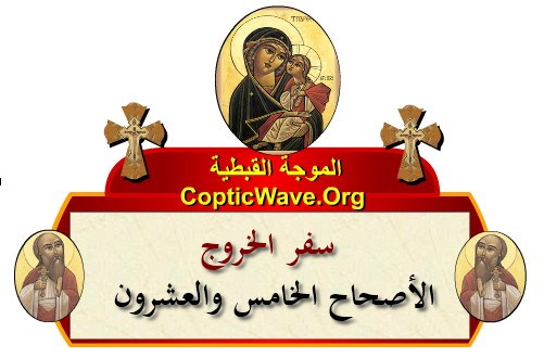    -    -   -   -    https://copticwave.org  - Coptic Orthodox church - Old Bible - 